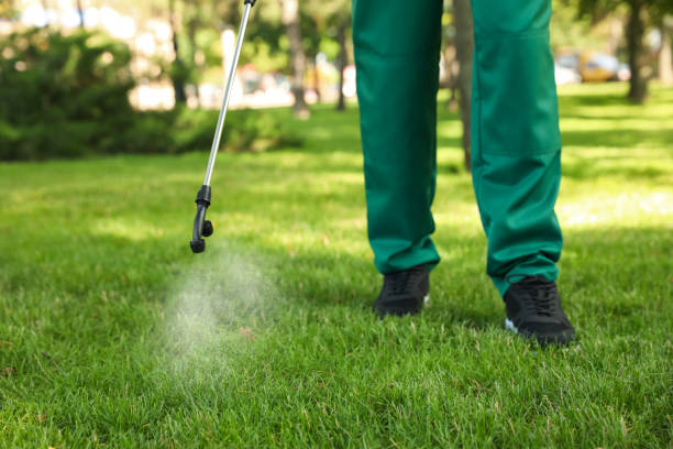 Wasp Removal Services in Wood River, NE